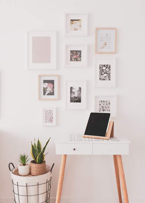 Pin Worthy Houseplant Pictures 50