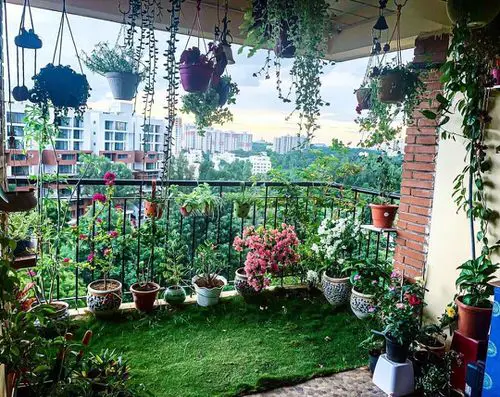 Top Balcony Gardens of November 2020 on Instagram 4