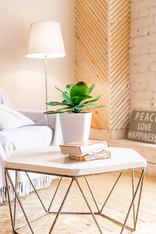 Table Decorating Ideas with Small Potted Houseplants 5