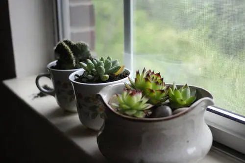 Tea and Coffee Cups!