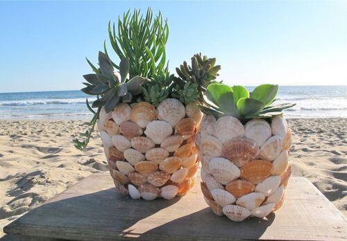 Seashell Pot Cover