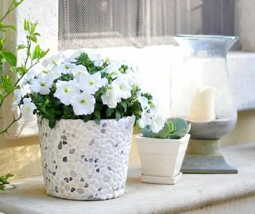 Pebbles Mosaic Plant Cover