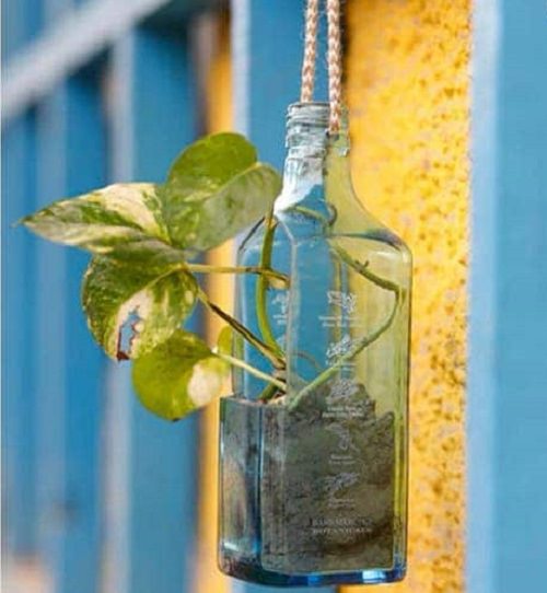 Old Glass Bottle Planter