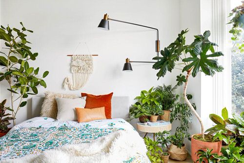 Upcoming 2021 Gardening Trends That You Must Check Out