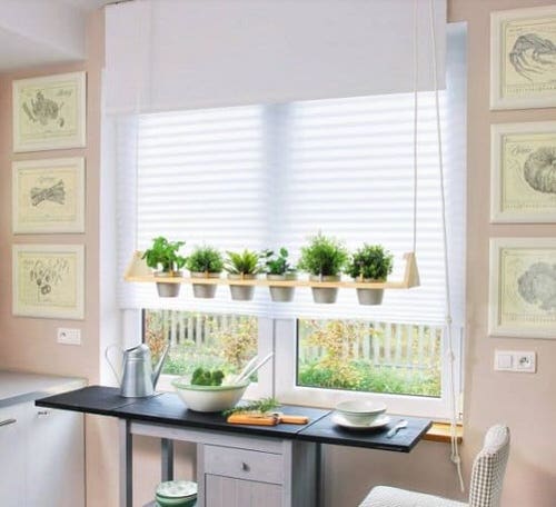 Herb Garden on the Window