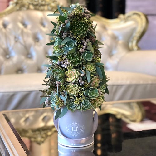 Succulent Christmas Trees 8