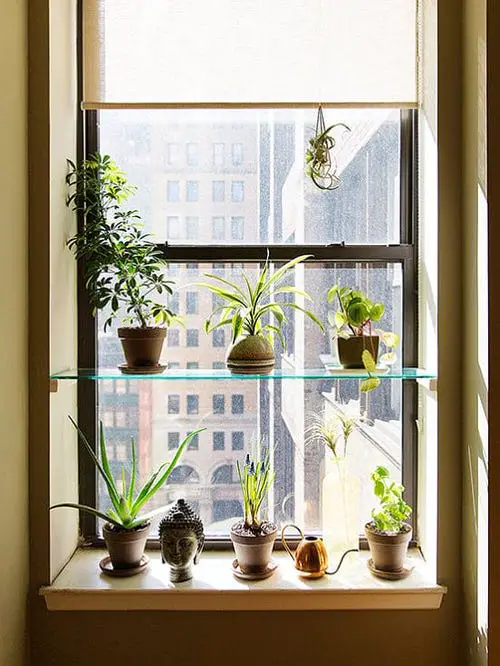 Single Glass Shelf