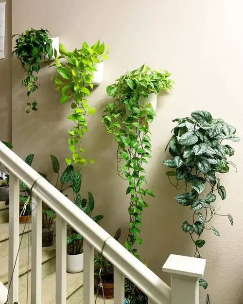 Artistic Plant Wall Art Ideas for Home Décor6
