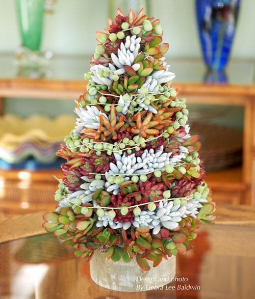 Succulent Topiary Tree