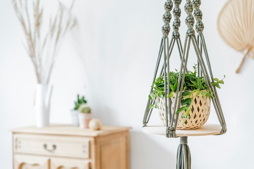 Clever Ways to Hang Your Plants 6