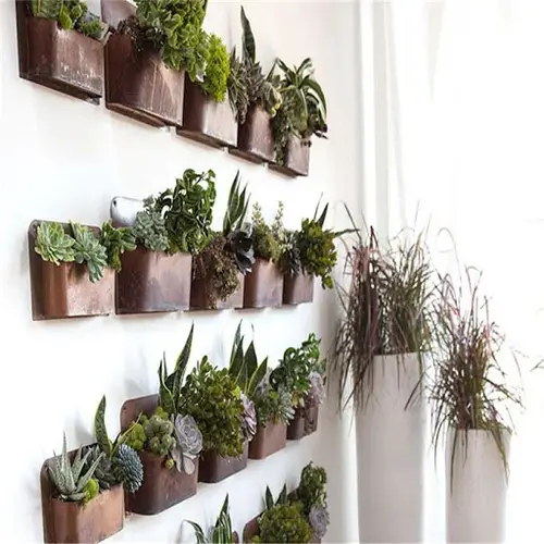 Artistic Plant Wall Art Ideas for Home Décor7