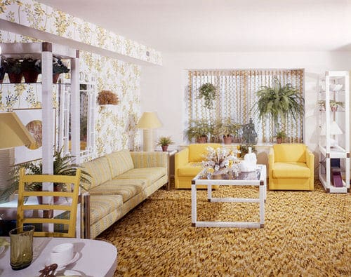Stylize Your Home with Big and Lush Ferns 7