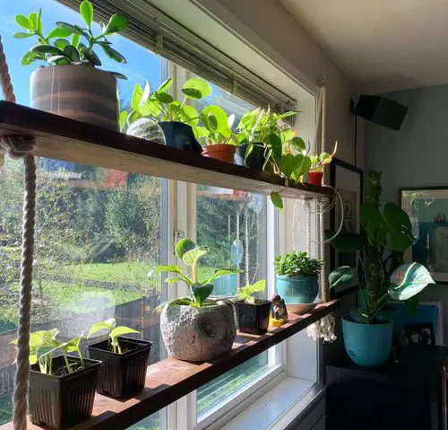 Wooden Shelf for Different Pots
