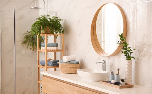 Stylize Your Home with Big and Lush Ferns 10