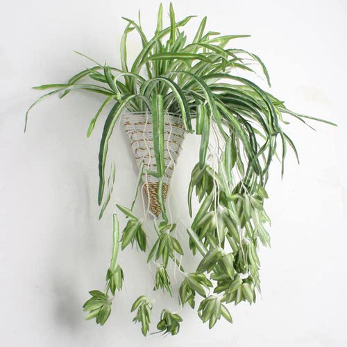 Clever Ways to Hang Your Plants 1