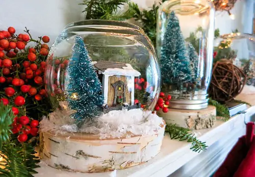 DIY Plant Gift Ideas for Christmas