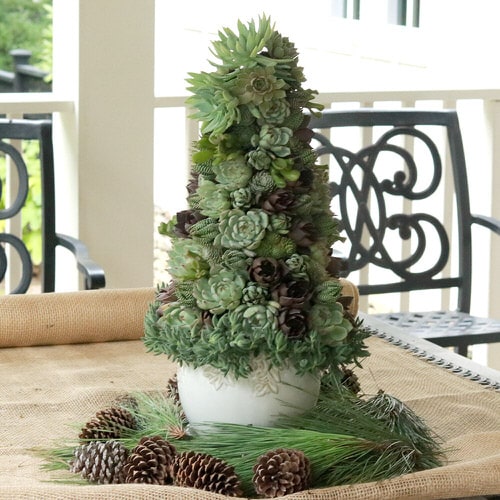 Succulent Christmas Tree