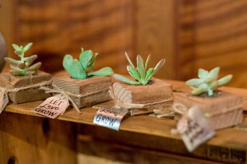 These Pictures Prove You Can Plant Succulent Anywhere 10