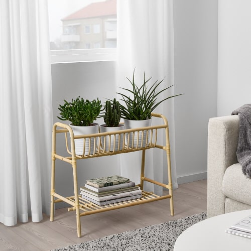 Plant Stand Design Ideas for Indoor Houseplants 11