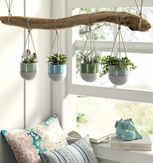 Practical Indoor Window Shelf Ideas for Plants
