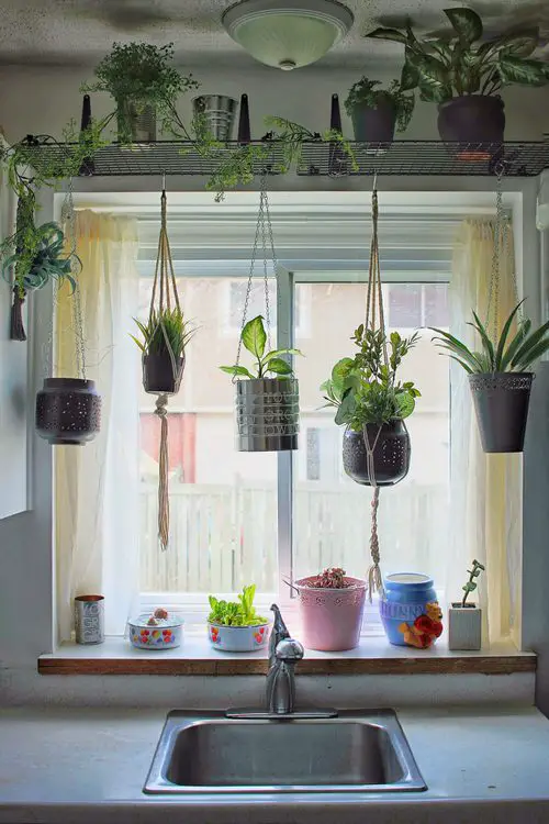 Plant Shelf From Shoe Racks