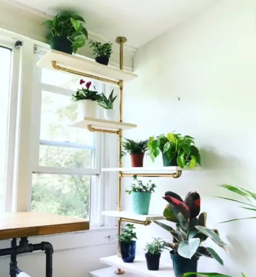 Single Rail Pipe Shelve