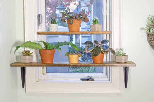 Tiered Window Plant Shelf