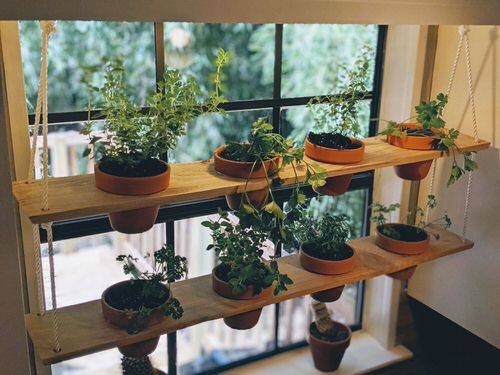 Cool Indoor Shelves