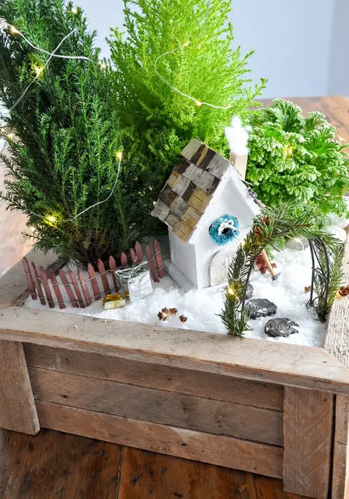DIY Plant Gift Ideas for Christmas 2