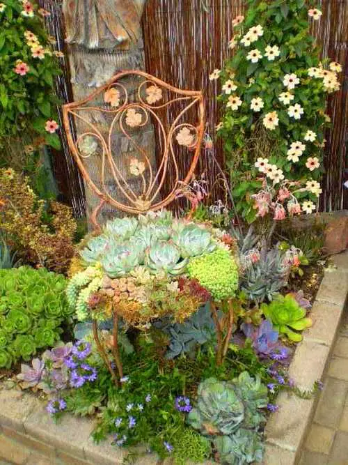 These Pictures Prove You Can Plant Succulent Anywhere 14