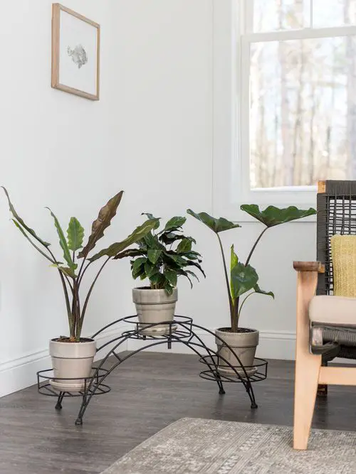 Plant Stand Design Ideas for Indoor Houseplants 23