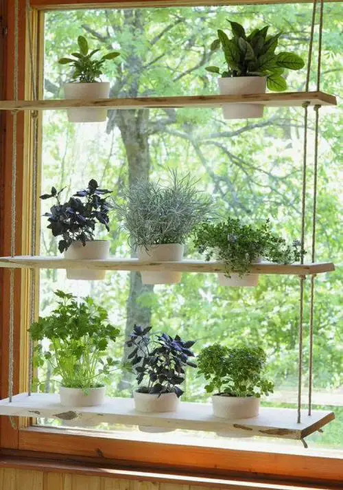 DIY Plant Shelf
