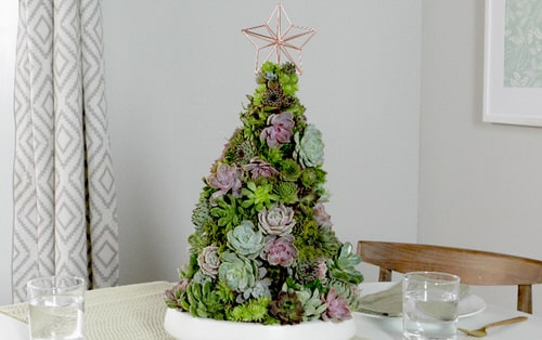 Succulent Tabletop Christmas Tree