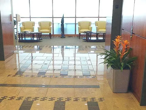 Perfect Hotel Plants You Can Grow in Your Home 3