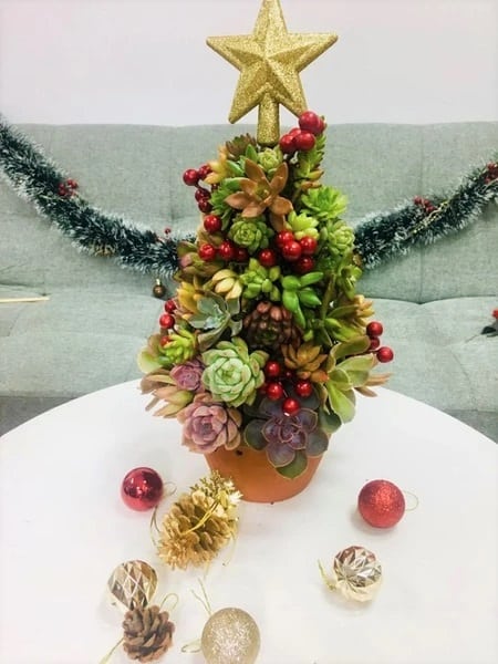 DIY Plant Gift Ideas for Christmas 3