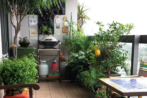Edible Balcony Garden Pictures for Ideas 2