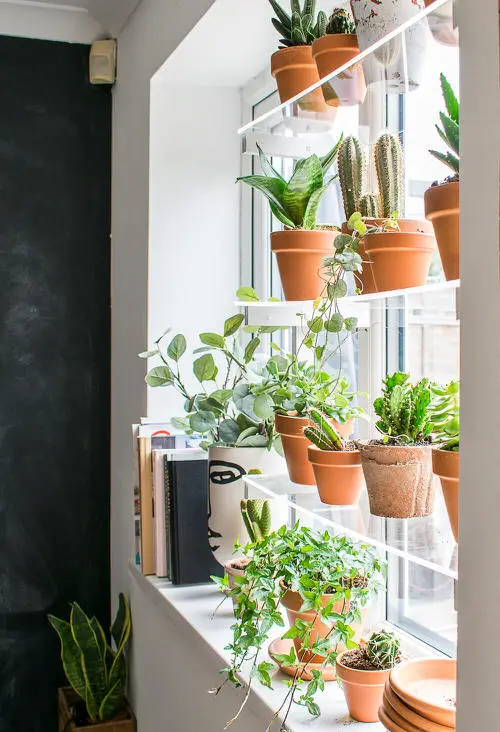 Glass or Plastic Window Shelf