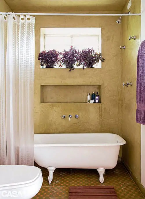 Vining Houseplants for Bathrooms 3