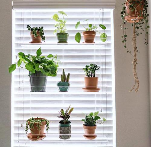 Transparent Shelf with Blinds
