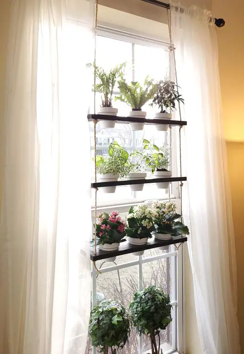 Bay Window Plant Shelf