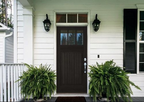 Stylize Your Home with Big and Lush Ferns 4
