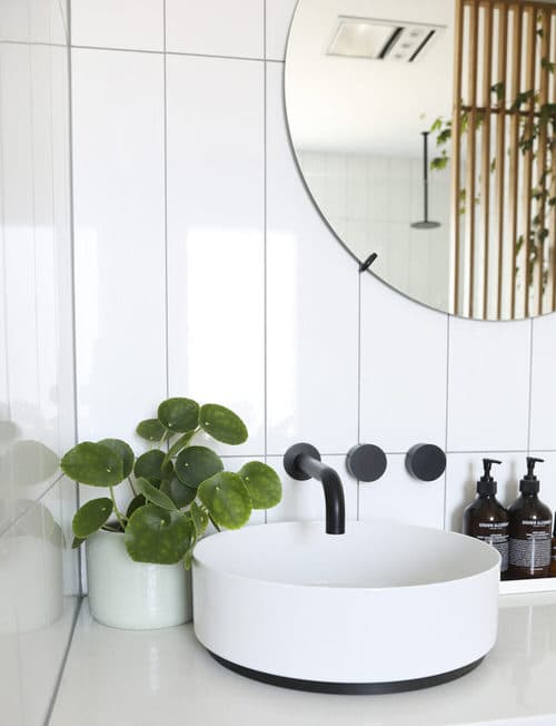 Vining Houseplants for Bathrooms 4