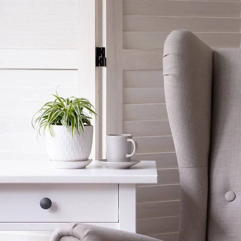 Houseplants That Love Coffee 5