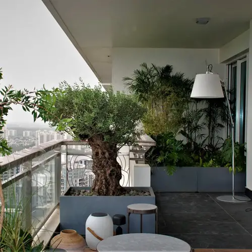 Green Balcony with Potted Palms