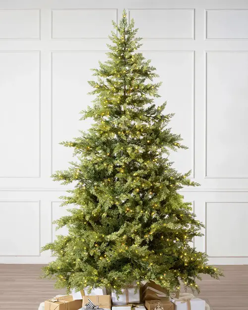 top Houseplants That Can Serve as Alternatives to Christmas Trees