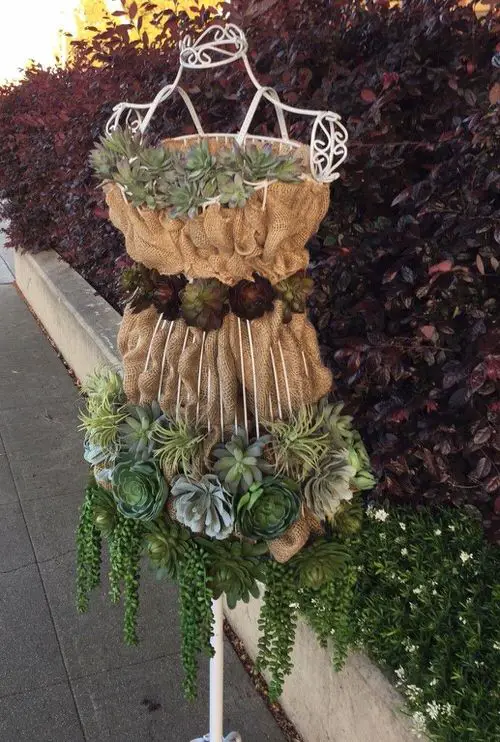 These Pictures Prove You Can Plant Succulent Anywhere 19