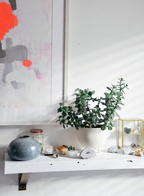 Plants You Can Keep on Your Desk for Good Luck