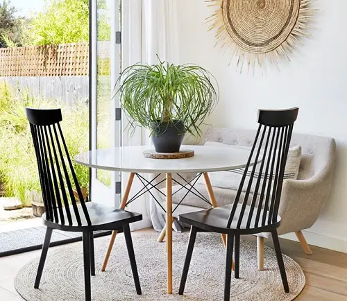 Unique Indoor Plants that Look Like Hair Strands
