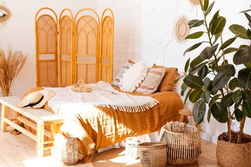 Orange Boho Bedroom with Rubber Plant