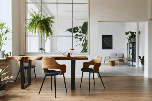 Pictures of House Plants in the Dining Room 6